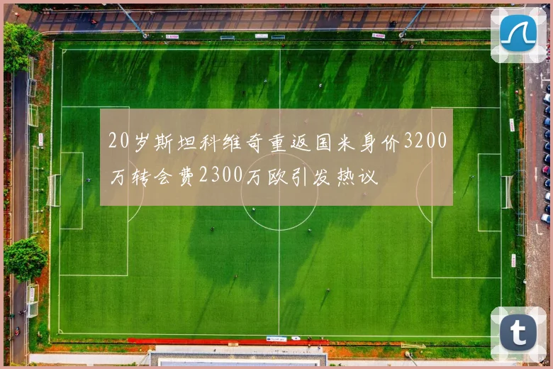 20岁斯坦科维奇重返国米身价3200万转会费2300万欧引发热议