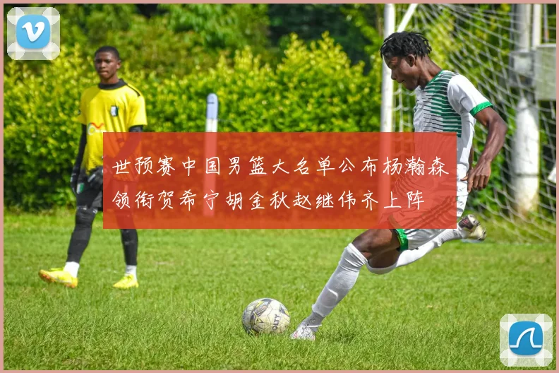 世预赛中国男篮大名单公布杨瀚森领衔贺希宁胡金秋赵继伟齐上阵